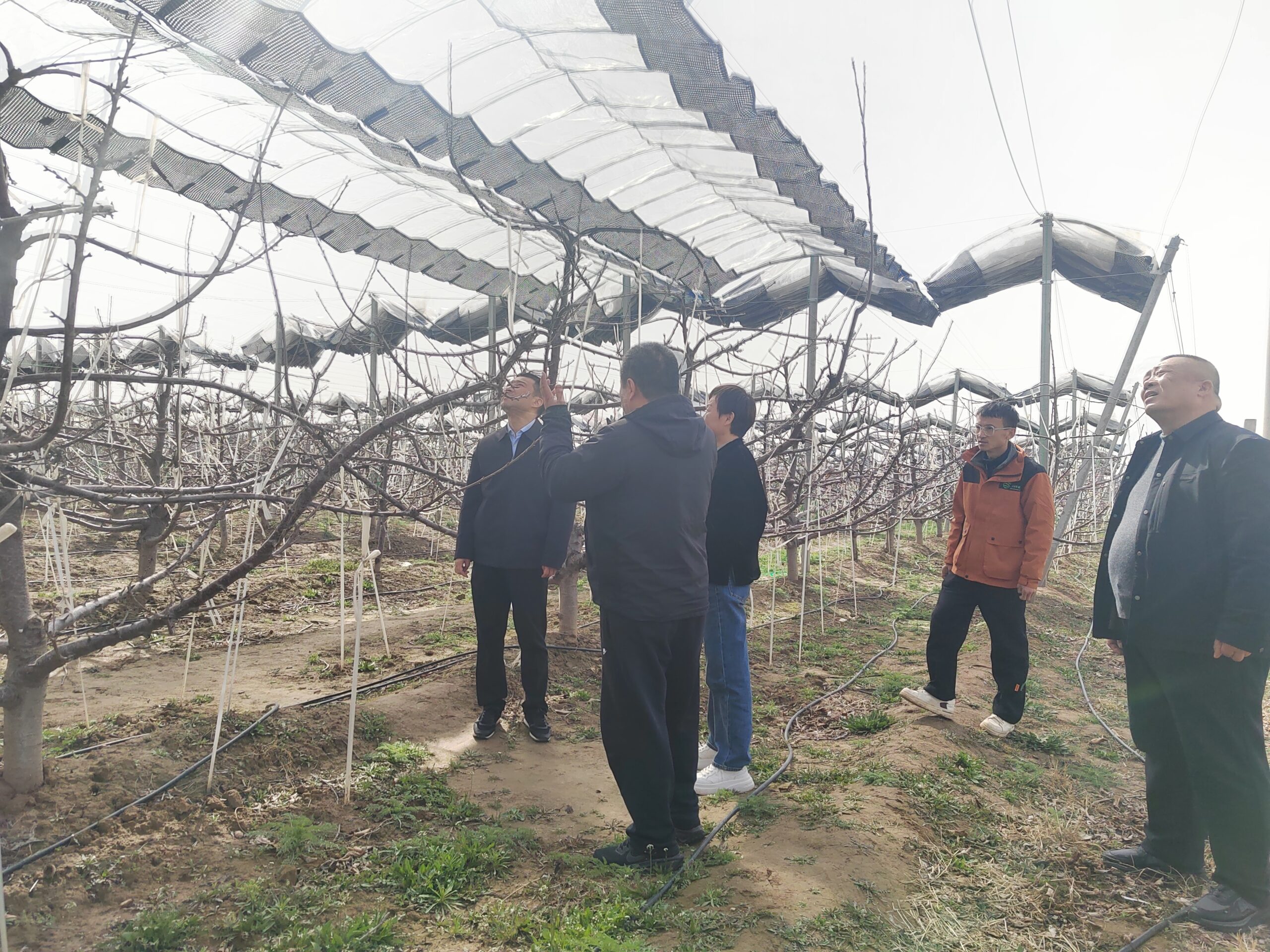 Inspection & Handover