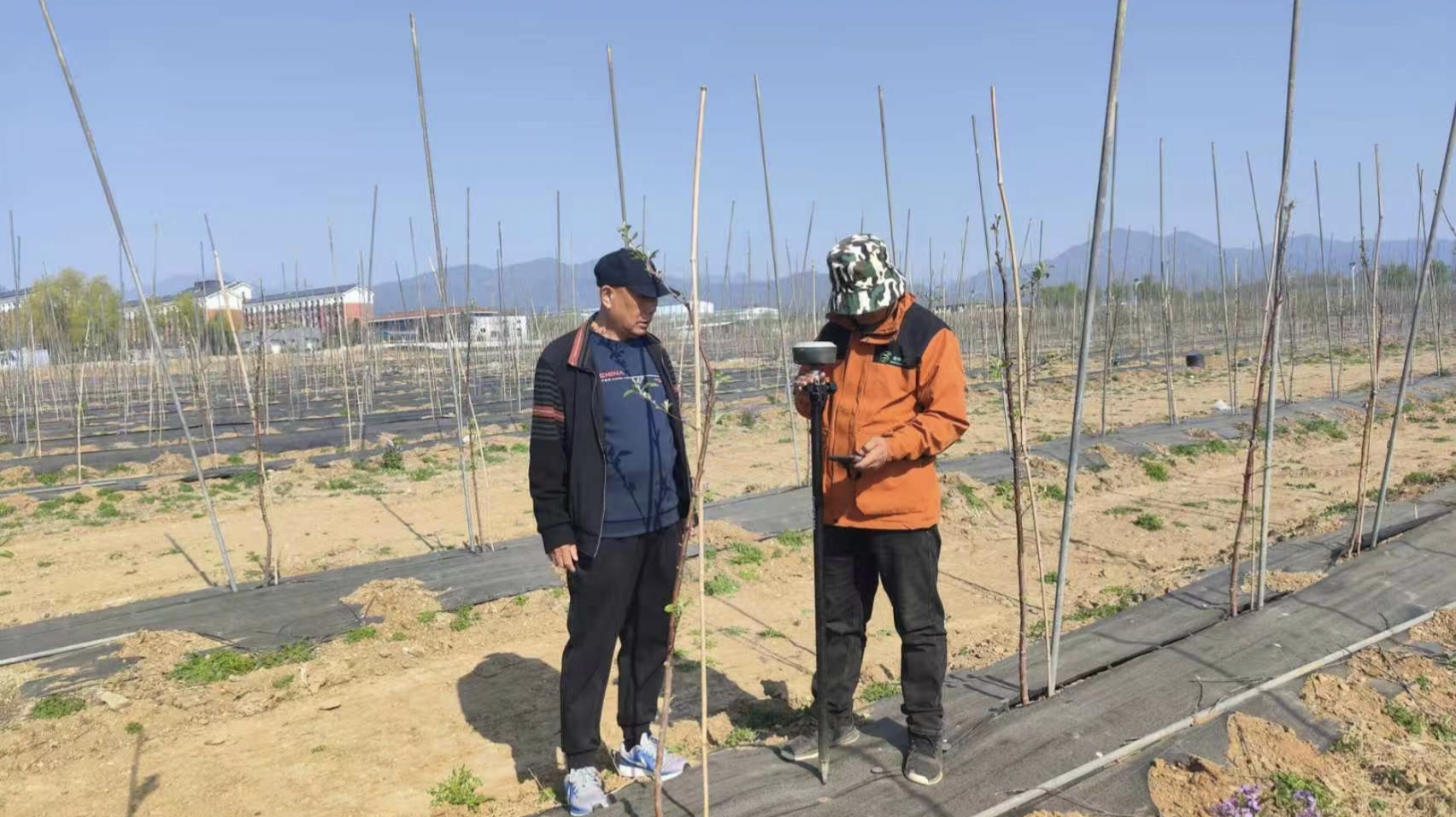 Site Survey & Measurement