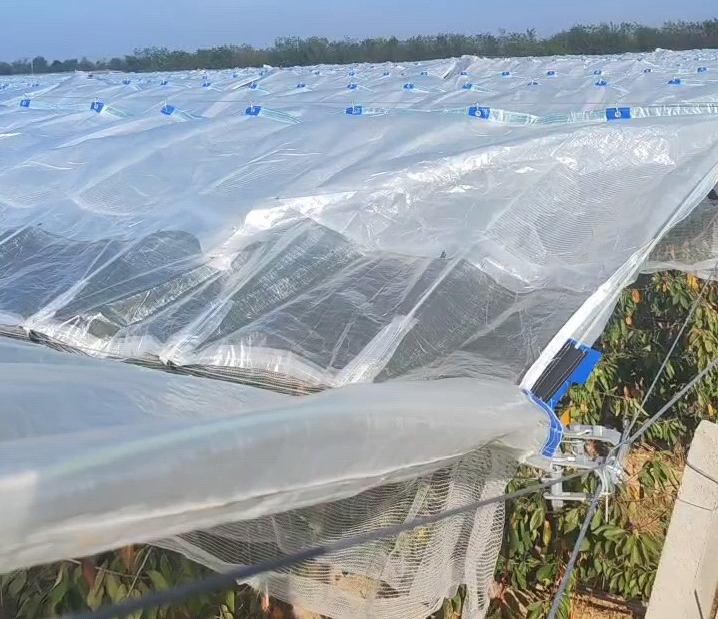 Tunnel system setup for orchard rain cover