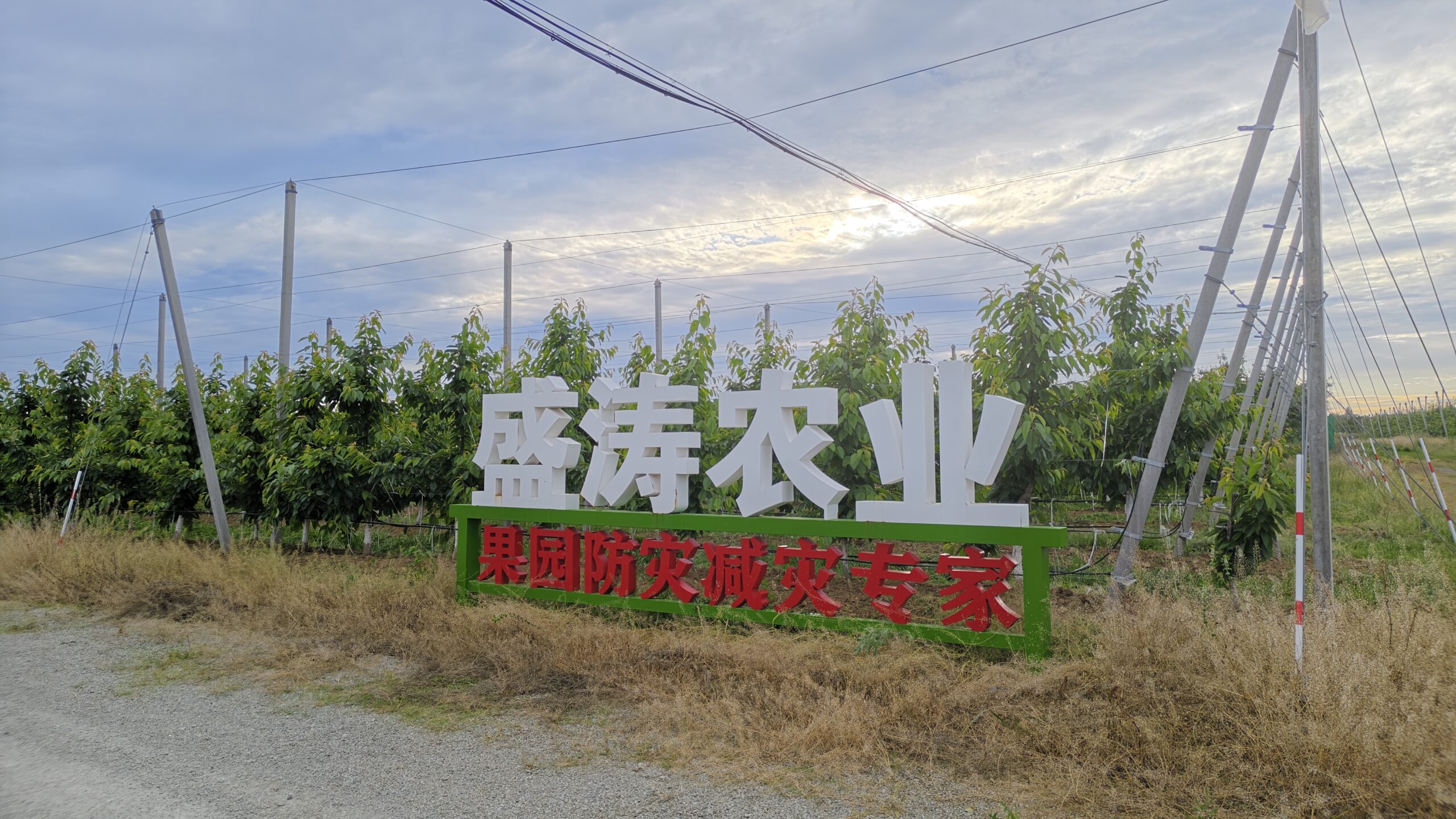 Project banner showing Shengtao Agri orchard rain cover installation