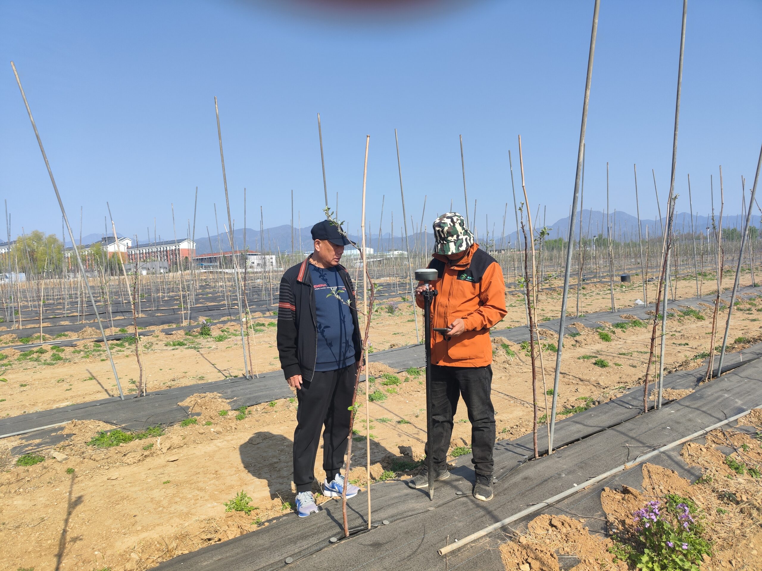 Site Survey & Measurement
