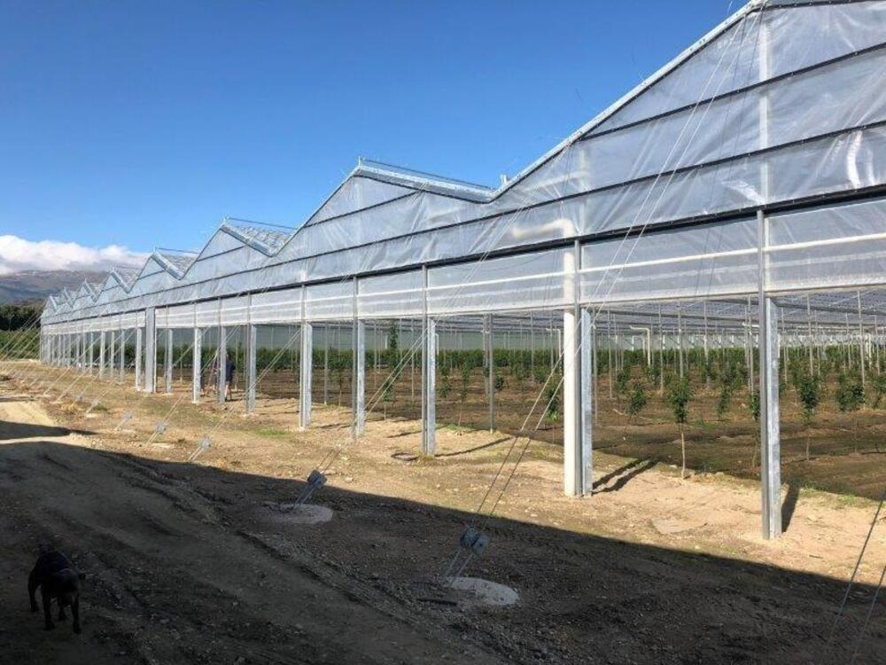 Best Rain Cover Systems for Cherry Orchards 69