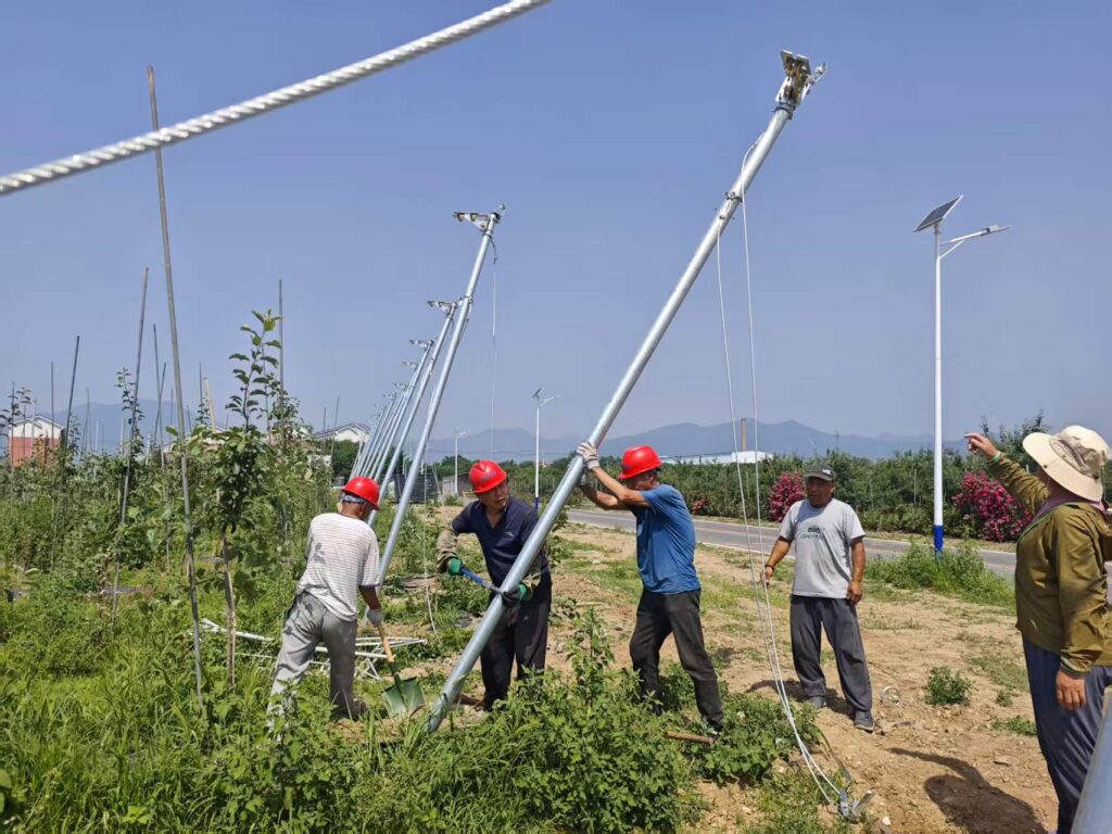 Agricultural team inspecting orchard rain cover project during installation