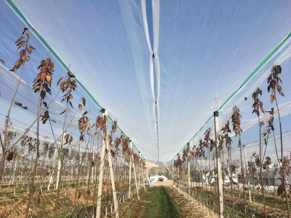 anti hail net