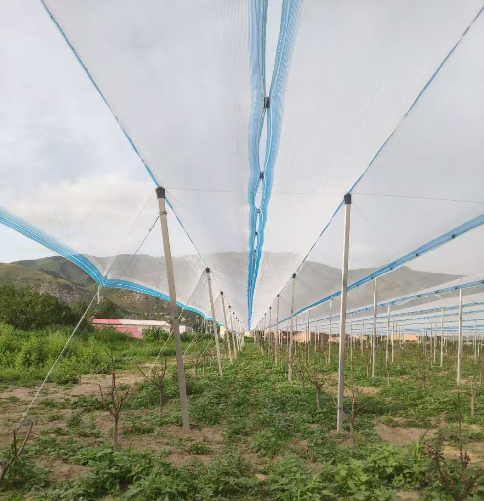 How Anti-Hail Nets Protect Fruit Trees hail protection net
