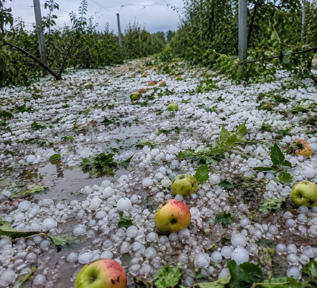 hailstorm damage