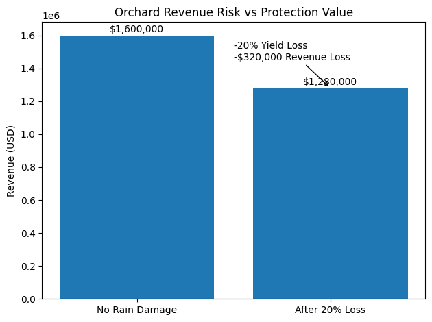 How Much Yield Can Rain Damage Cost a Cherry Grower? orchard revenue impact of rain damage